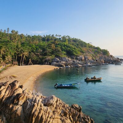 Radical Rejeuvenation Retreat