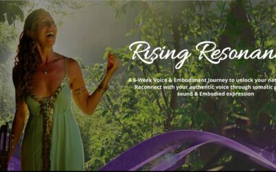 Rising Resonance is Open for Enrollment ✨
