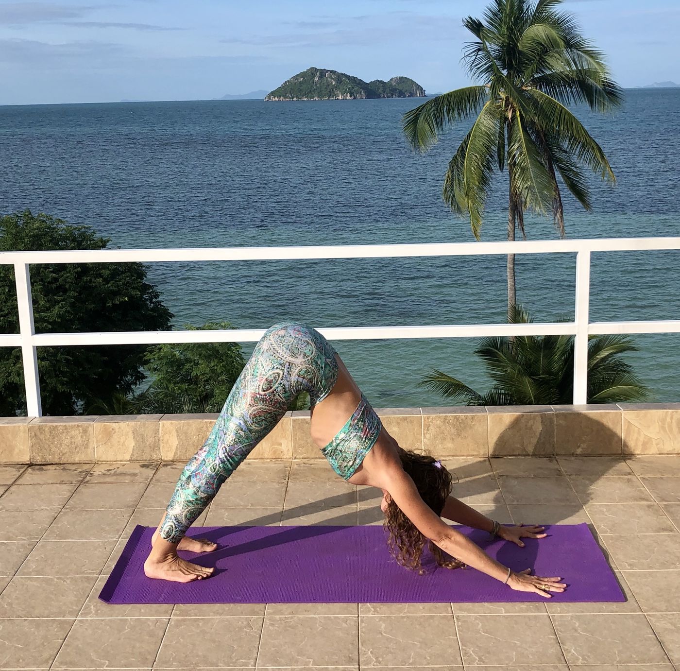 Francie in downward facing dog