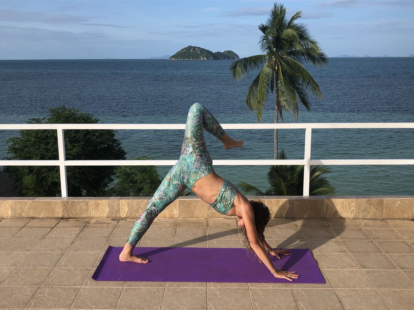 Three-legged dog with the hip opened into scorpion tail